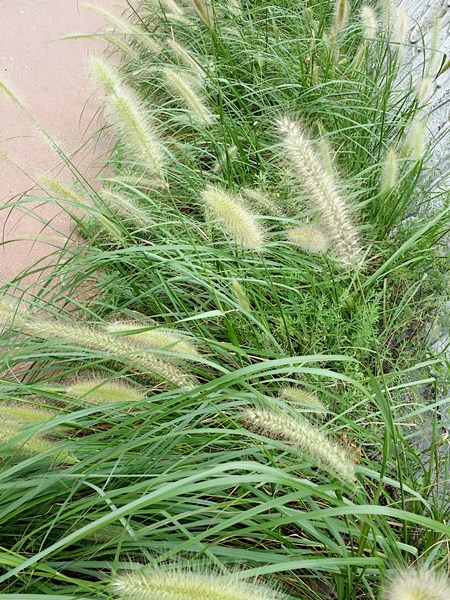 20160828_131636.jpg