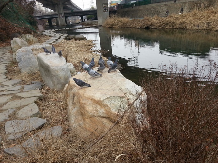 20160117_110314.jpg