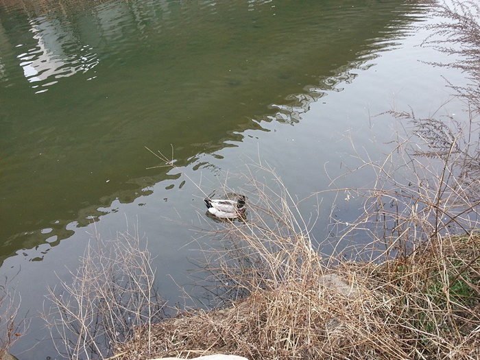 20160117_110310.jpg