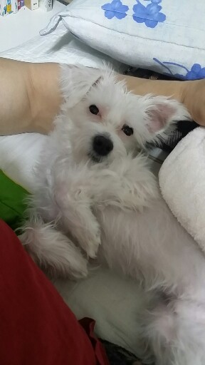 20180310_222917-288x512.jpg