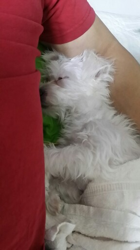 20180310_222217-288x512.jpg