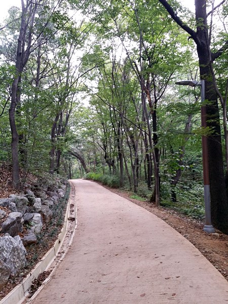 20160911_142540.jpg
