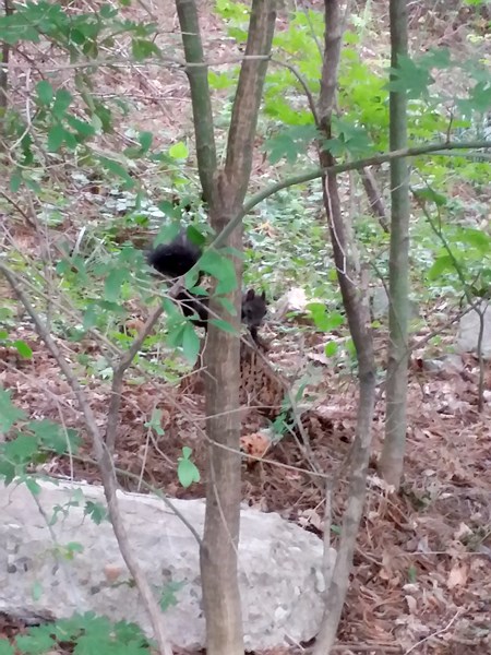 20160911_143400.jpg