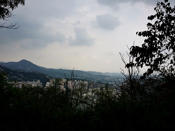 20160911_140248.jpg
