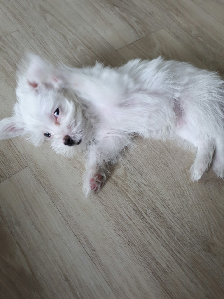 1502105473577.jpeg