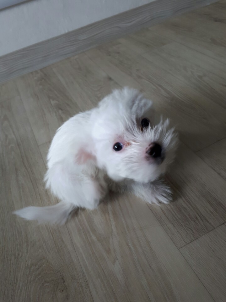 1502105475130.jpeg