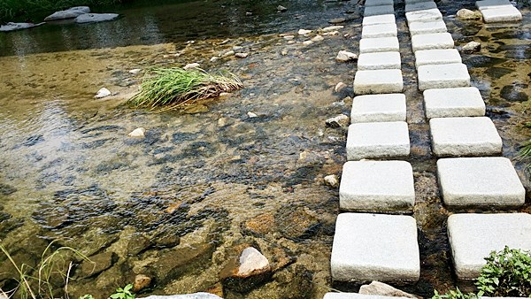 20160710_114134.jpg