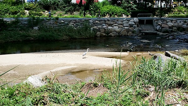 20160710_114318.jpg