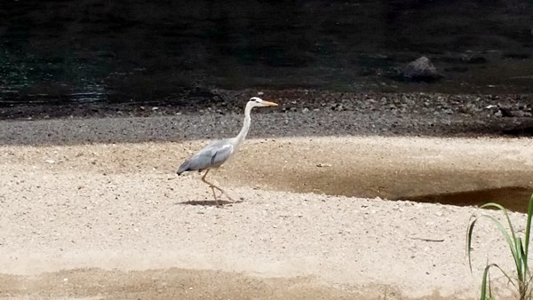 20160710_114324.jpg