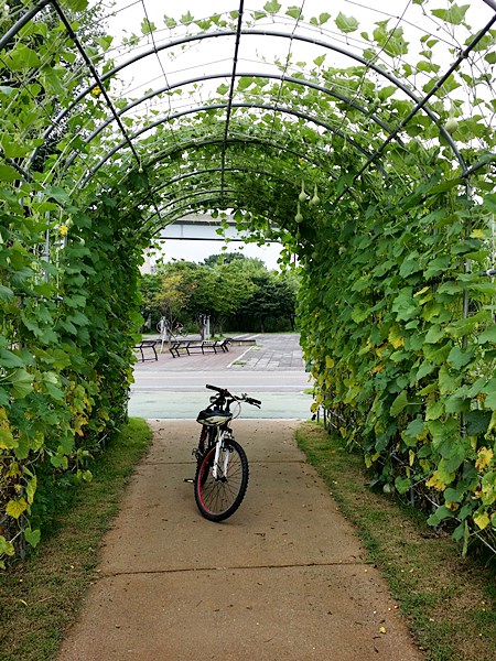20160717_121947.jpg