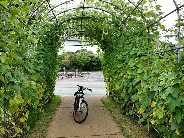 20160717_122006.jpg