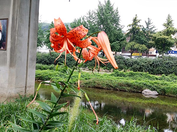 20160724_112959.jpg