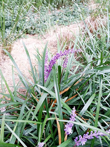 20160724_113032.jpg