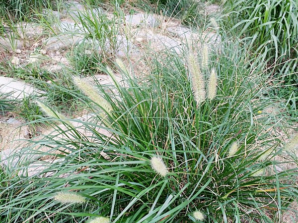 20160724_113025.jpg