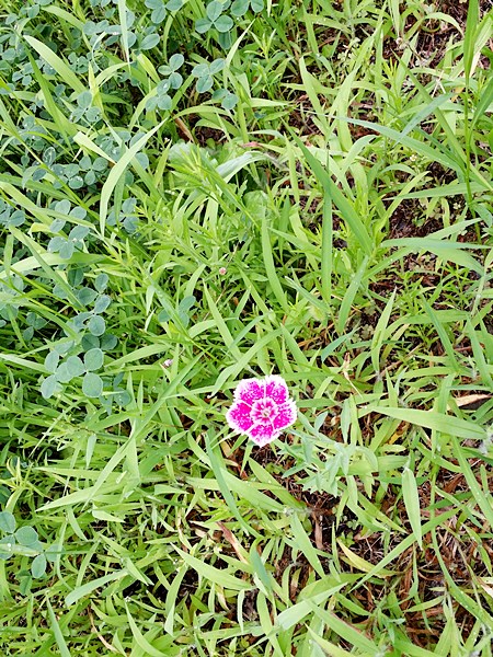 20160724_113434.jpg