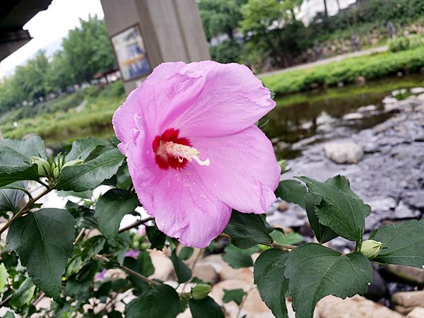 20160724_113133.jpg