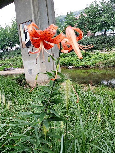 20160724_112951.jpg