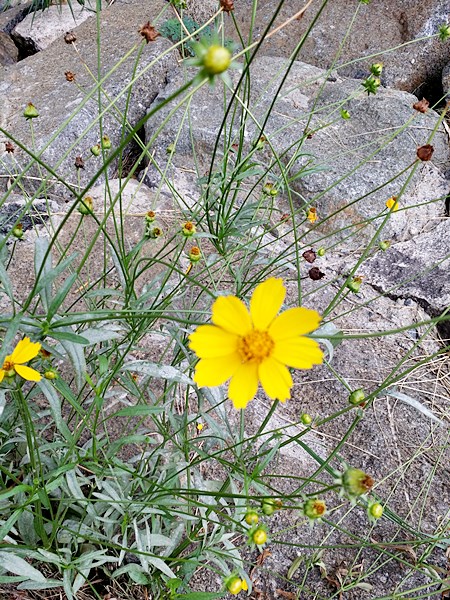 20160724_113106.jpg