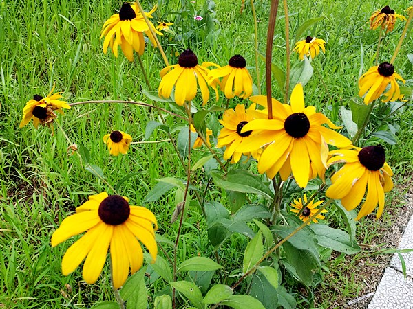 20160724_113447.jpg