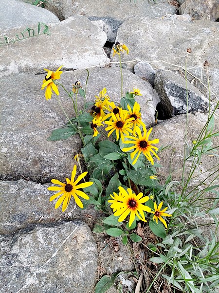 20160724_113058.jpg