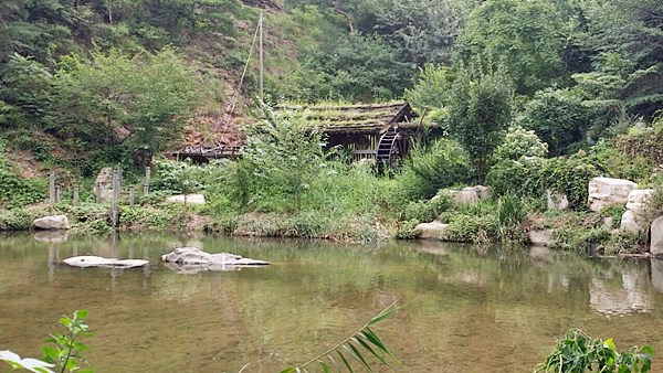 20160731_220837.jpg
