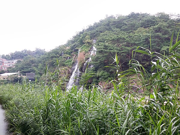 20160731_105545.jpg