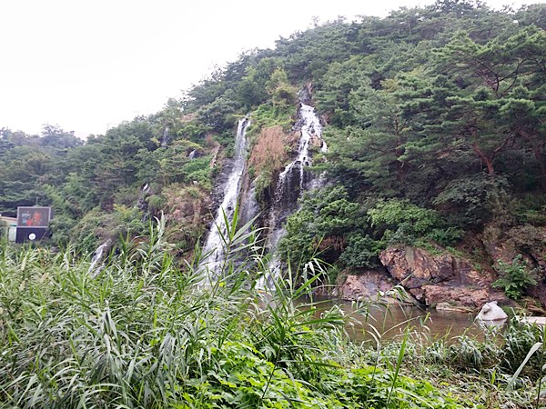 20160731_105604.jpg