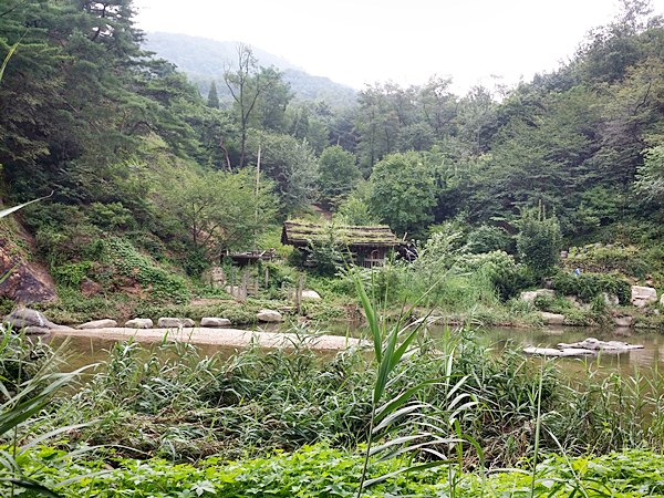 20160731_105608.jpg