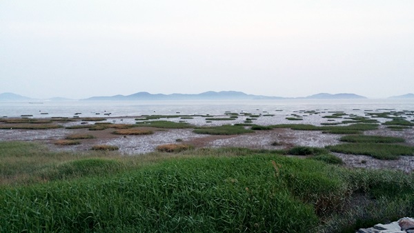 20160605_195003.jpg