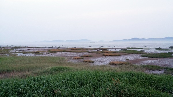 20160605_195036.jpg