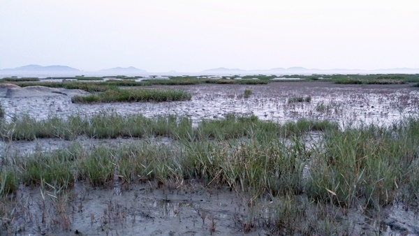20160605_195325.jpg