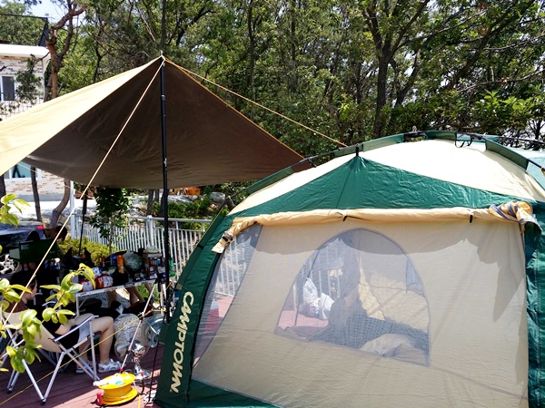 20160605_130554.jpg