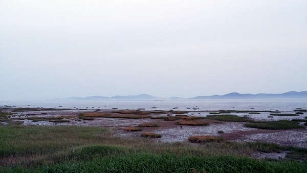 20160605_195042.jpg