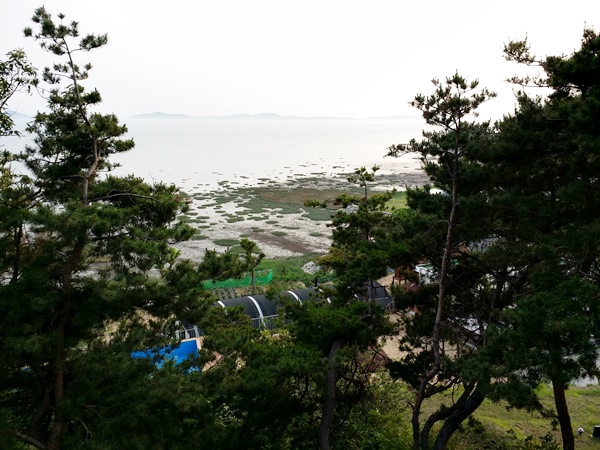 20160605_185900.jpg