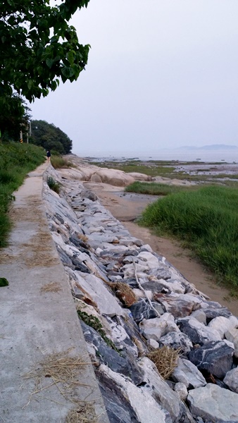 20160605_195119.jpg