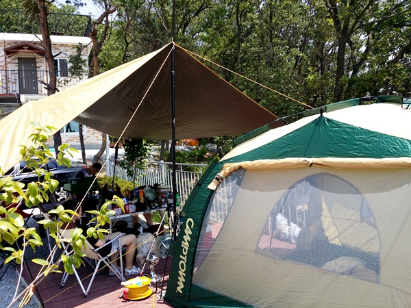 20160605_130556.jpg