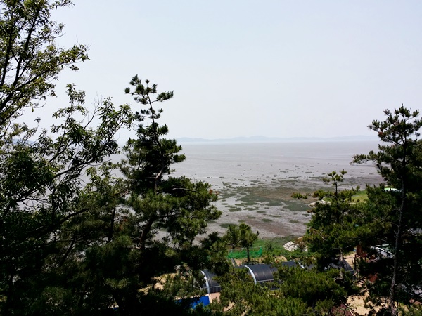 20160605_130544.jpg