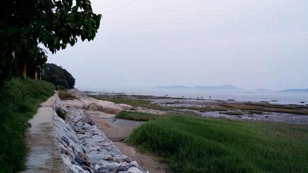 20160605_195128.jpg