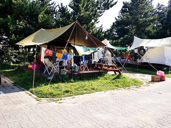 20160813_085745.jpg