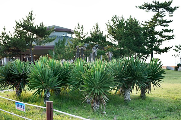 DSC08761.JPG
