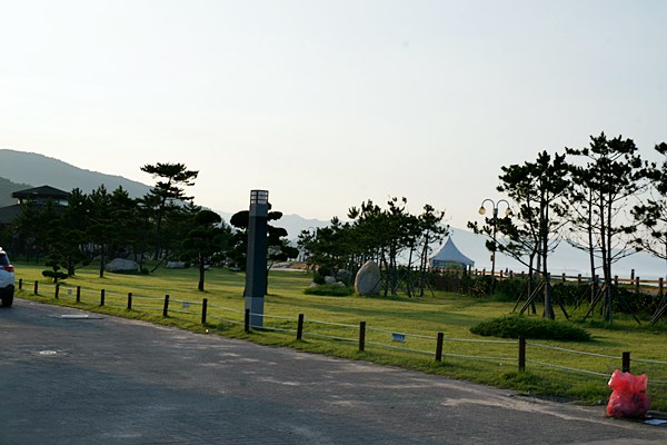 DSC08757.JPG