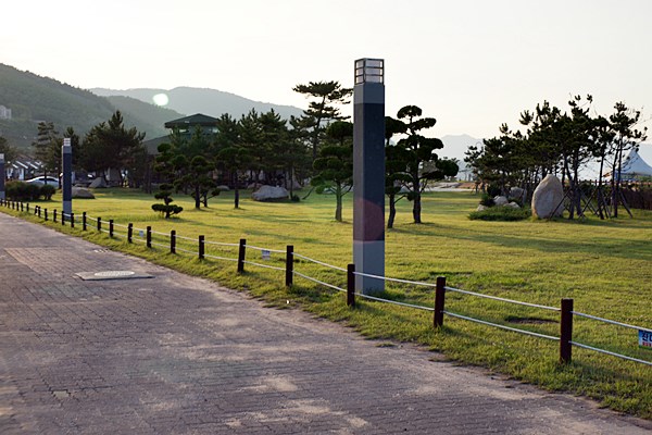 DSC08758.JPG