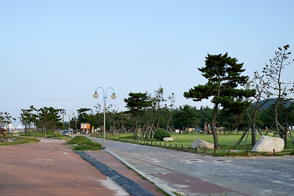 DSC08769.JPG