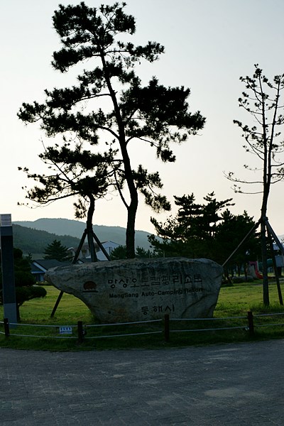 DSC08765.JPG