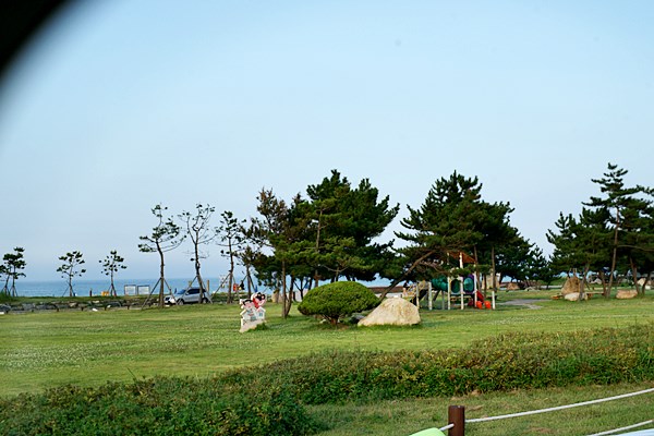 DSC08767.JPG