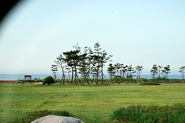 DSC08768.JPG
