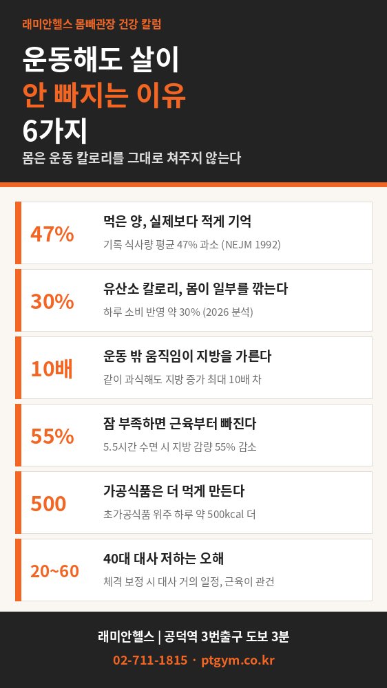 대흥 PT 헬스 | 하루 1만 보를 걸어도 살이 그대로인 이유 6가지 - 몸은 운동 칼로리를 그대로 쳐주지 않습니다 - 2 - 20261020000745