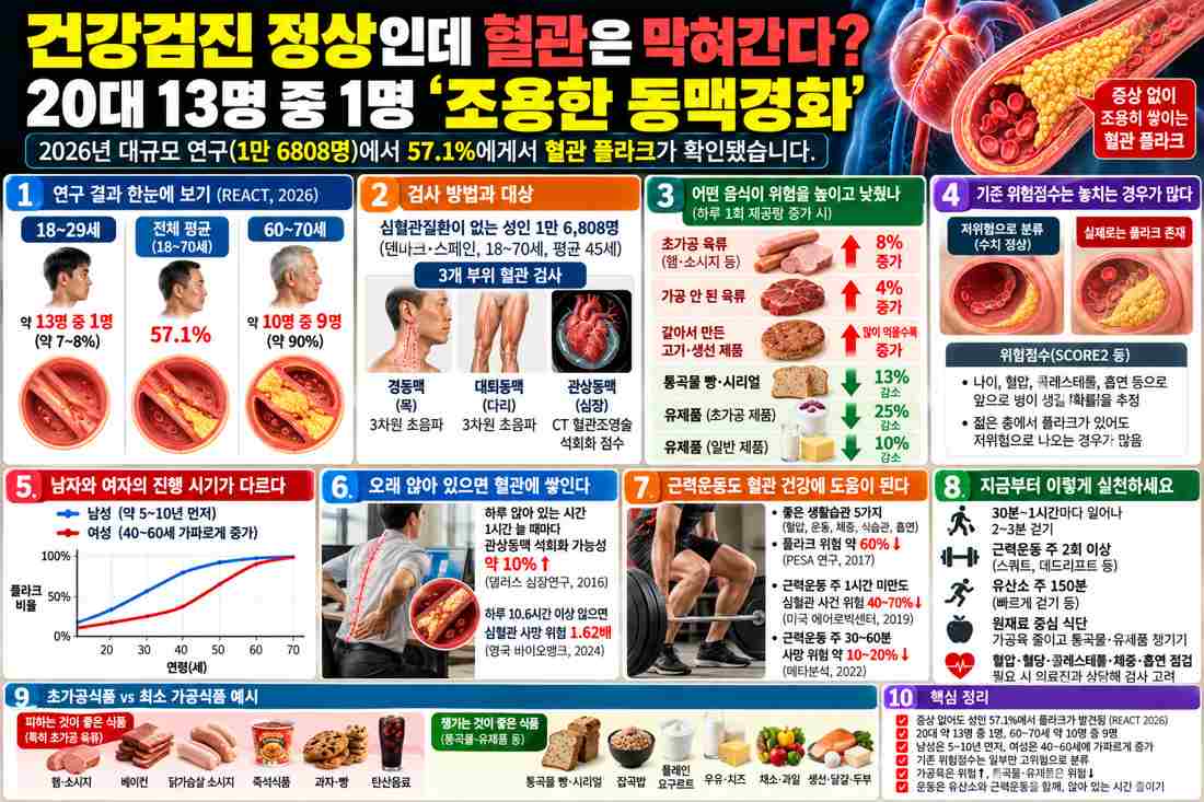 애오개 헬스 PT | 건강검진 정상인데 혈관은 막혀간다? 20대 13명 중 1명 조용한 동맥경화 - 1 - 20261023000836