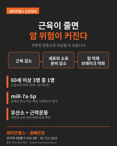 마포 염리 PT 헬스 피티 근육이 줄면 암 위험이 커집니다 — 운동으로 세포 속 브레이크를 되살리는 법 - 1 - 20260618234531