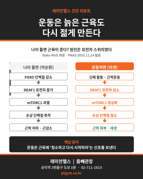 마포 아현 PT 헬스 피티 |운동하면 늙은 근육도 다시 젊어진다 - 근감소증, 유전자 스위치를 끄는 법 - 1 - 20260709002105